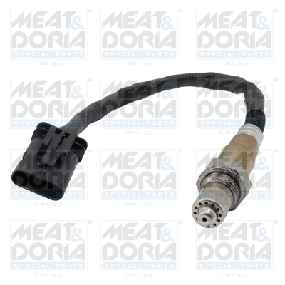 Oxygen Sensor